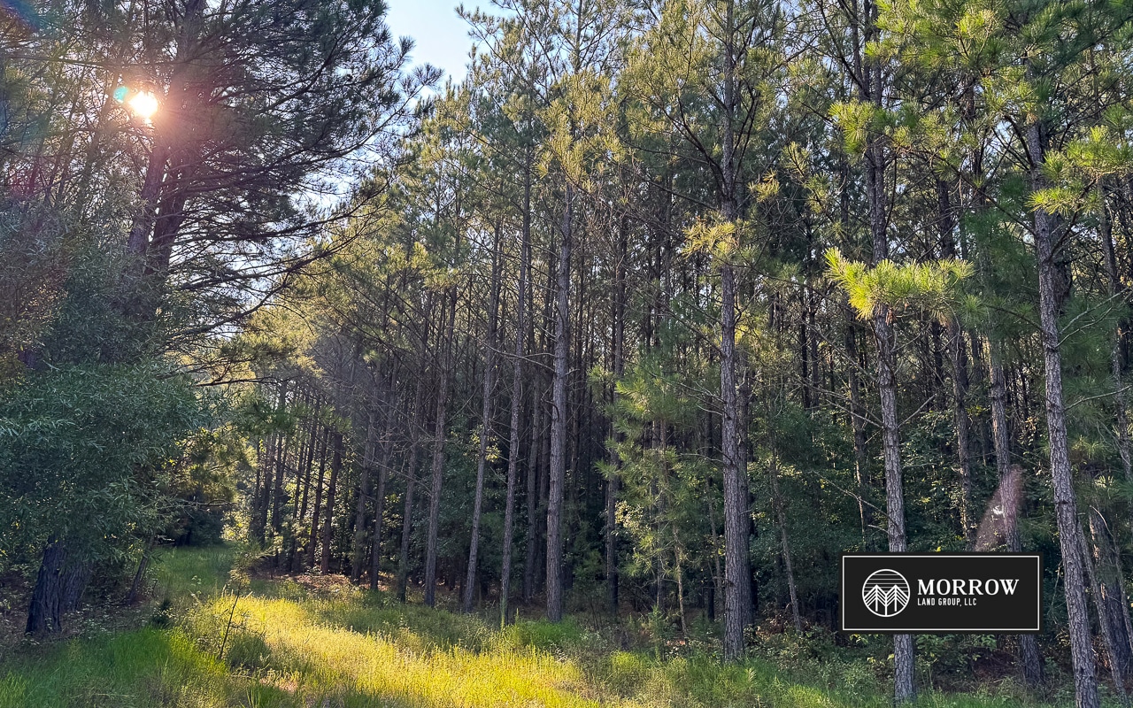 New Light Tract in Bossier Parish, LA