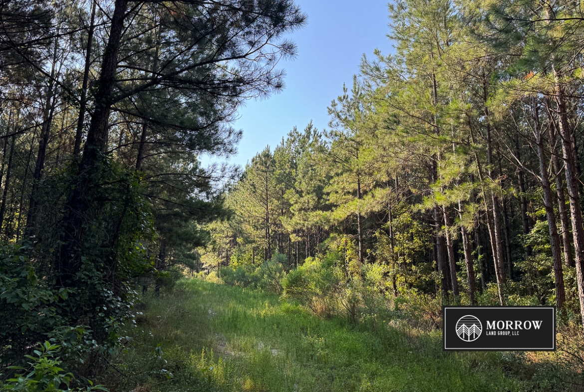 New Light Tract in Bossier Parish, LA