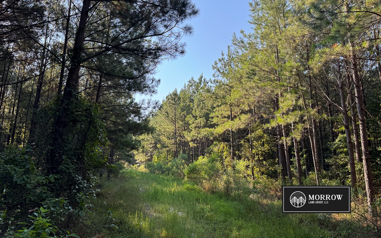 New Light Tract in Bossier Parish, LA