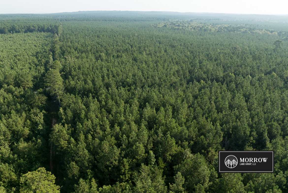 New Light Tract in Bossier Parish, LA