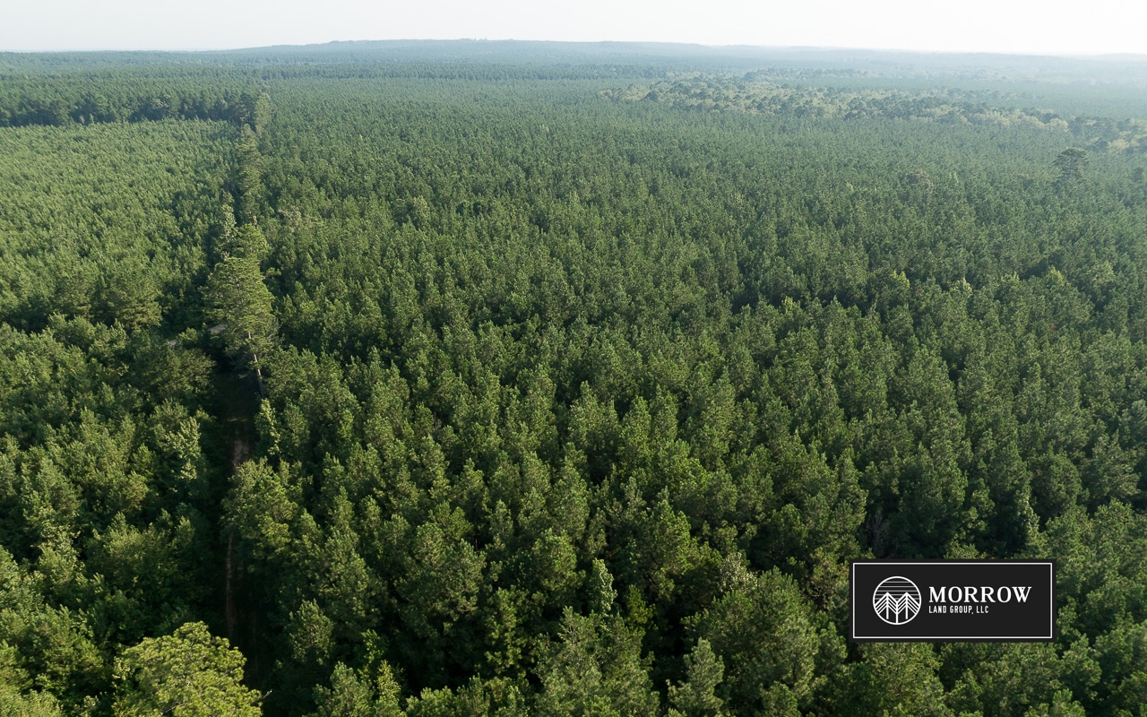 New Light Tract in Bossier Parish, LA
