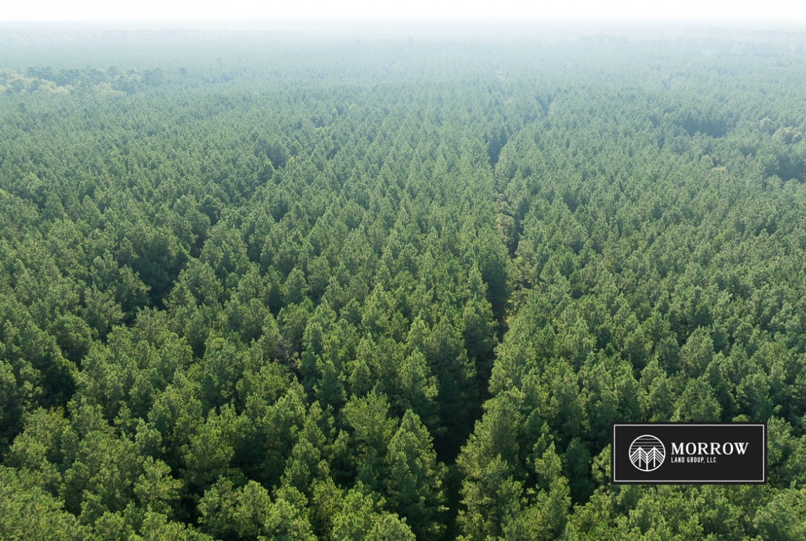 New Light Tract in Bossier Parish, LA