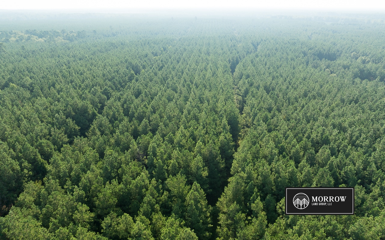 New Light Tract in Bossier Parish, LA