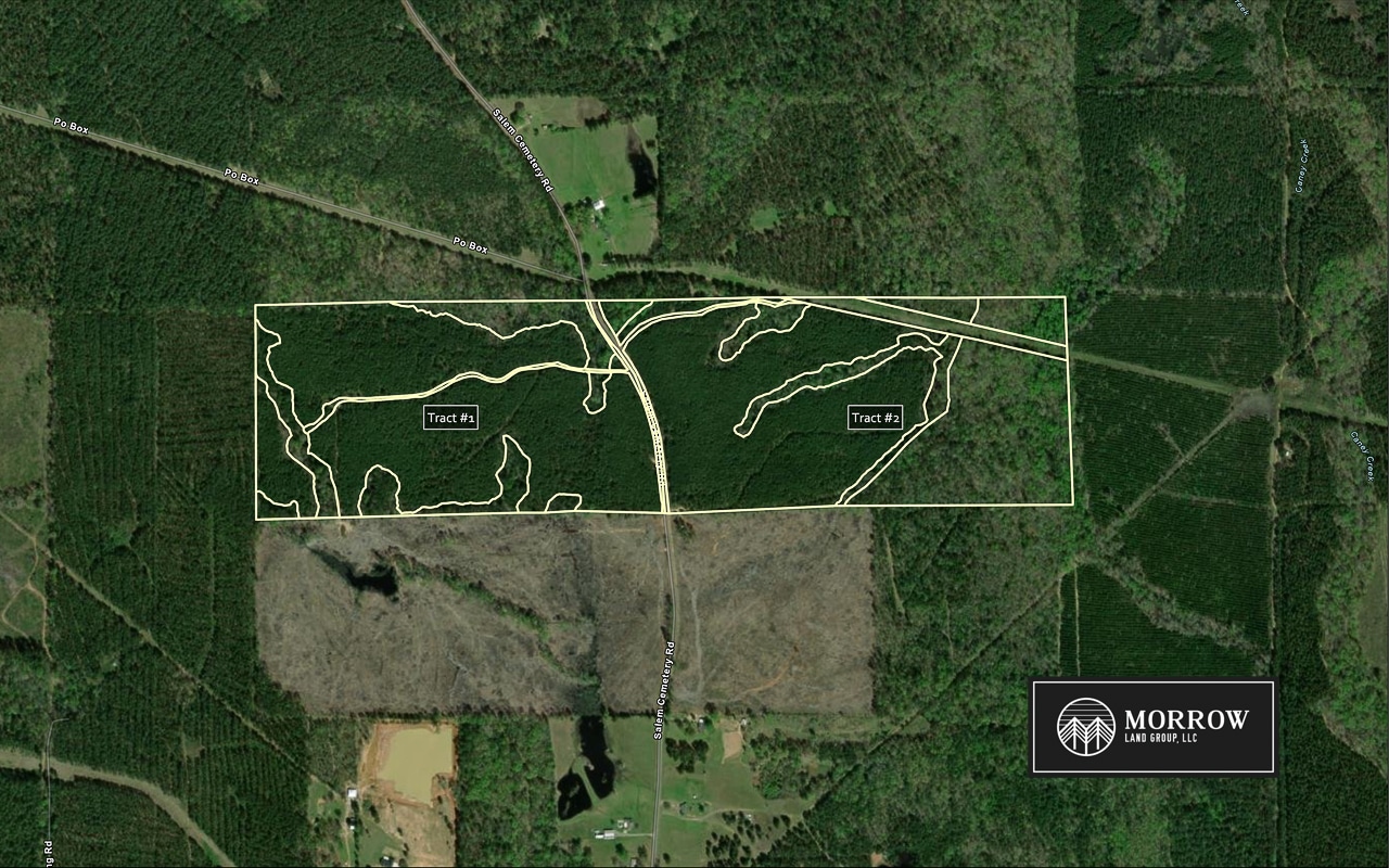 Salem Cemetery Tract in Bossier Parish, LA