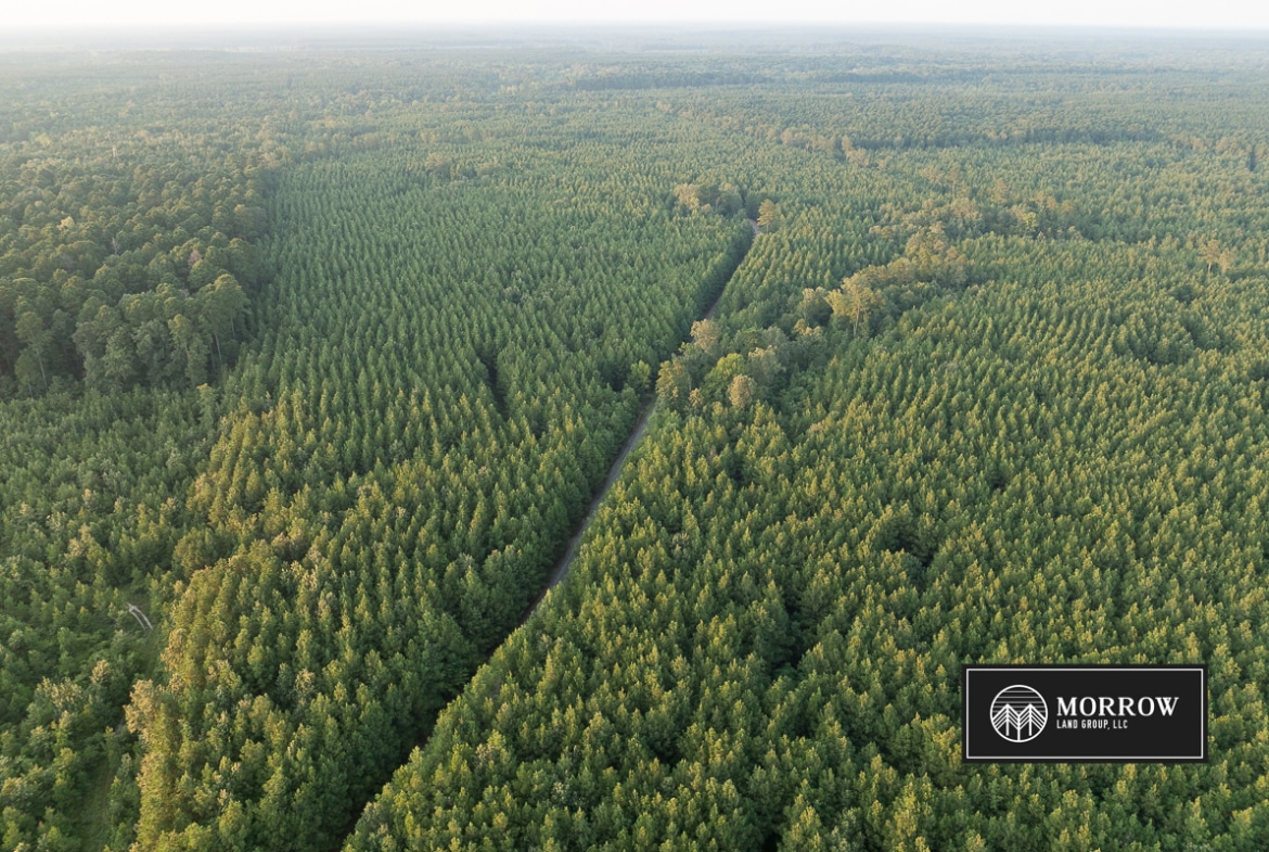 Stubbs Cemetery Tract in Bossier Parish, LA
