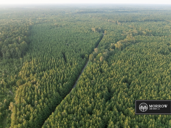 Stubbs Cemetery Tract in Bossier Parish, LA