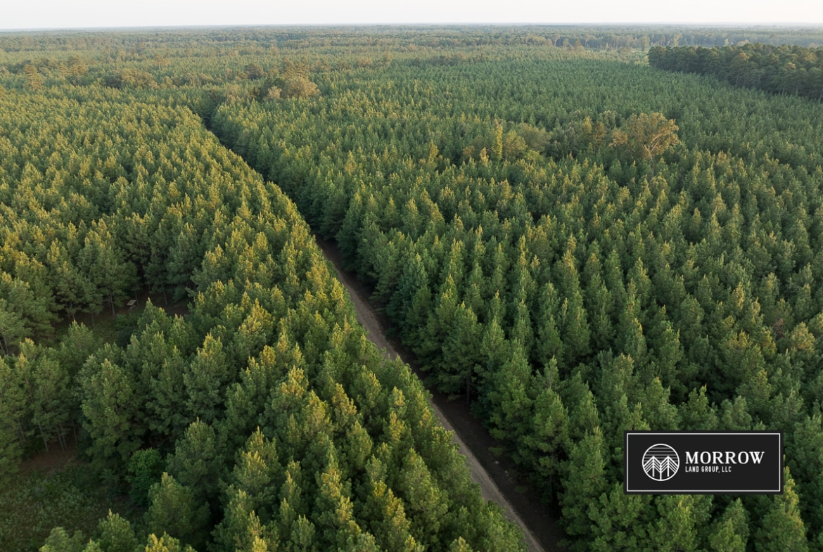 Stubbs Cemetery Tract in Bossier Parish, LA