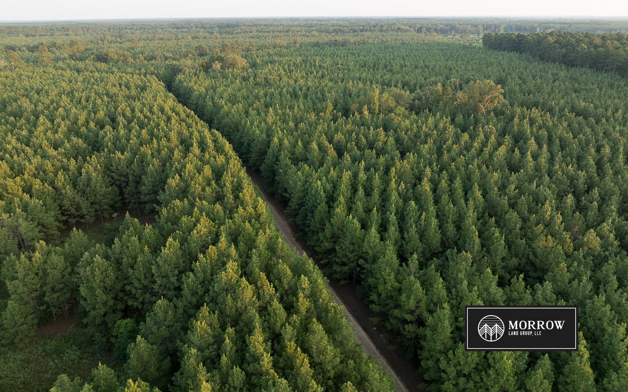 Stubbs Cemetery Tract in Bossier Parish, LA