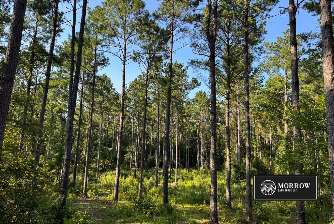 Wardview Bluff Tract in Bossier Parish, LA