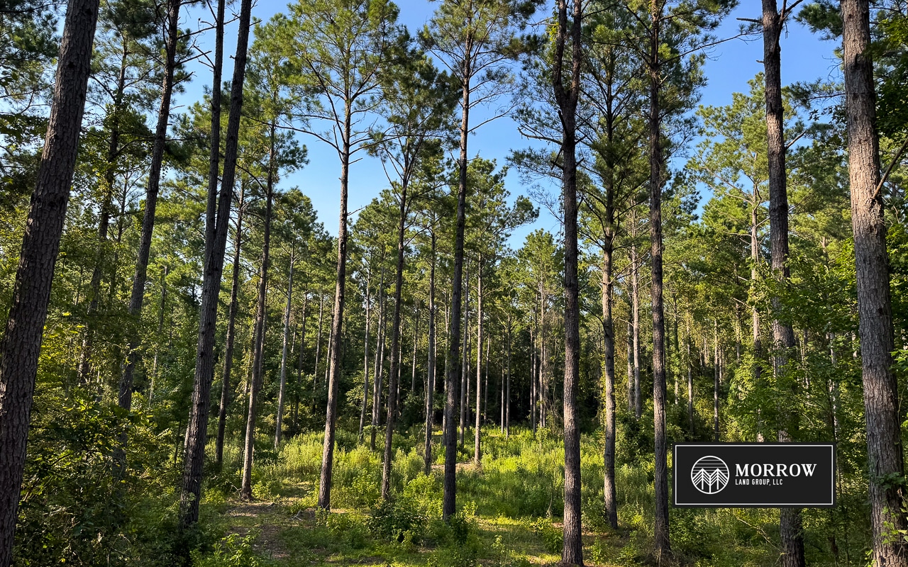 Wardview Bluff Tract in Bossier Parish, LA