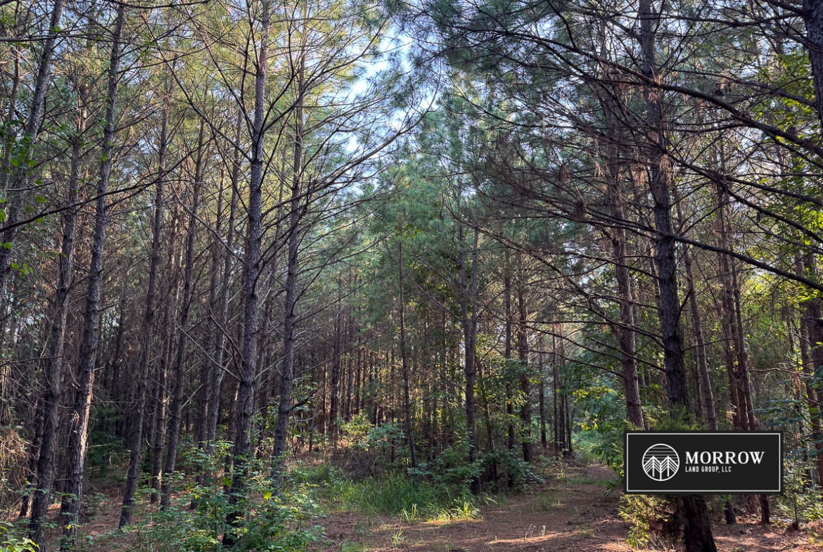 Wardview Bluff Tract in Bossier Parish, LA