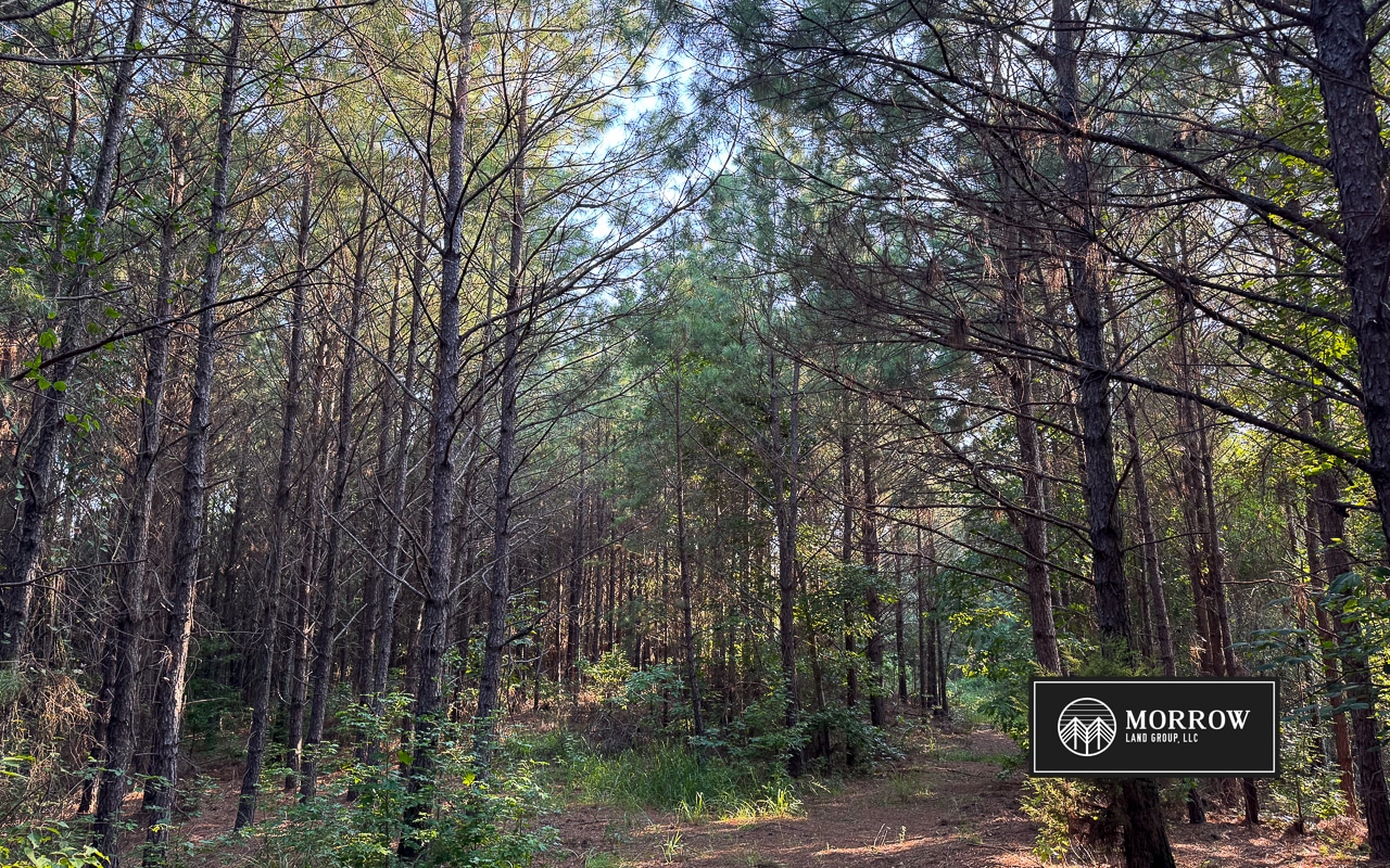 Wardview Bluff Tract in Bossier Parish, LA
