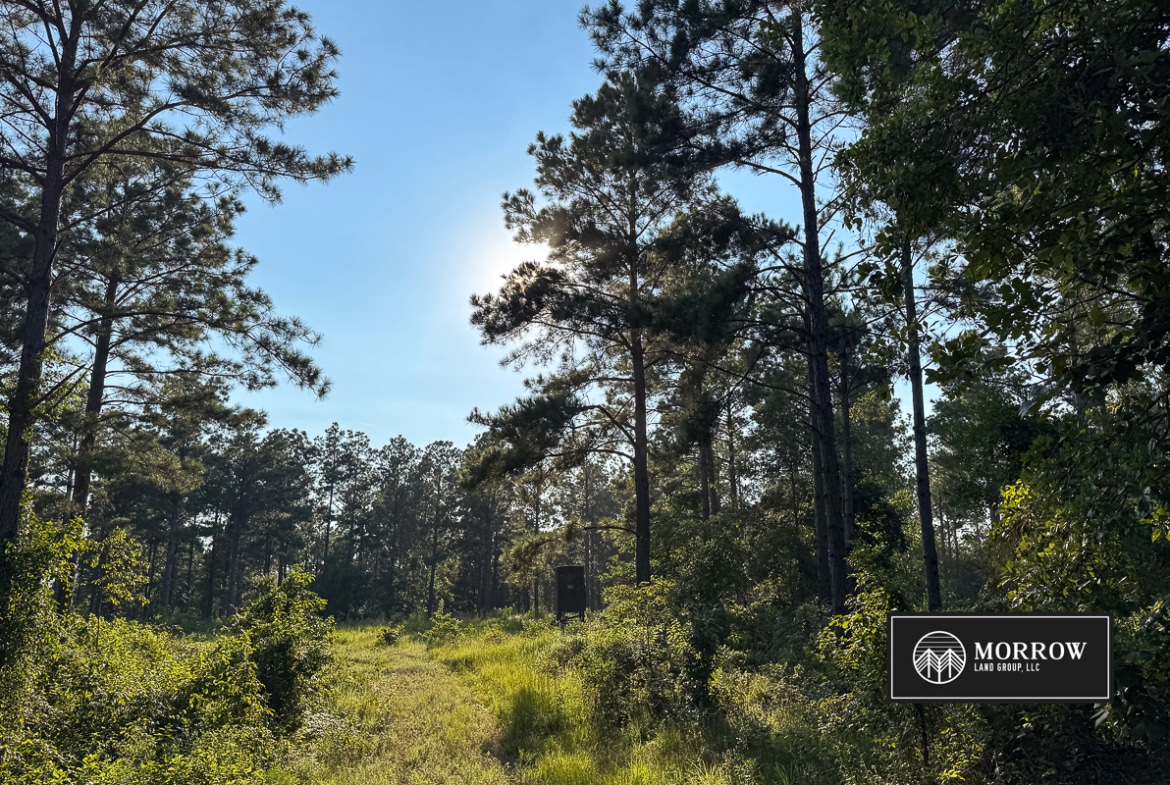 Wardview Bluff Tract in Bossier Parish, LA
