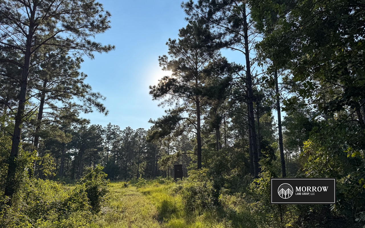 Wardview Bluff Tract in Bossier Parish, LA