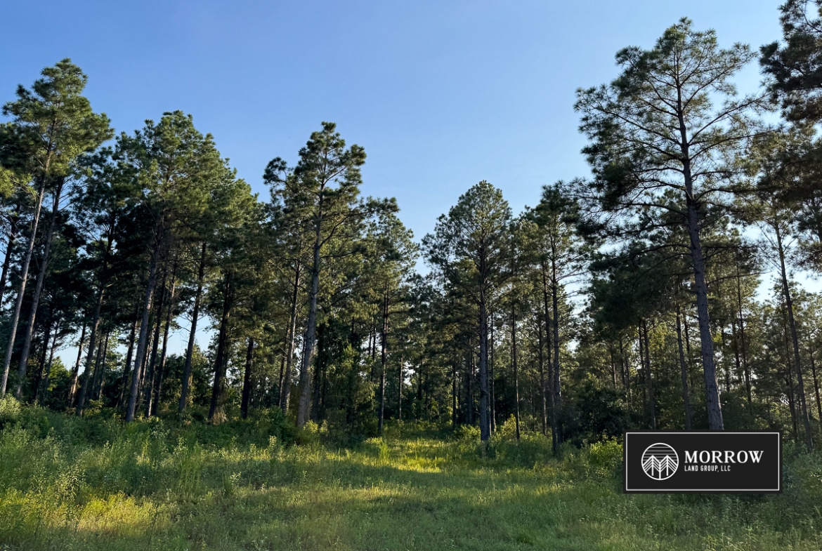 Wardview Bluff Tract in Bossier Parish, LA