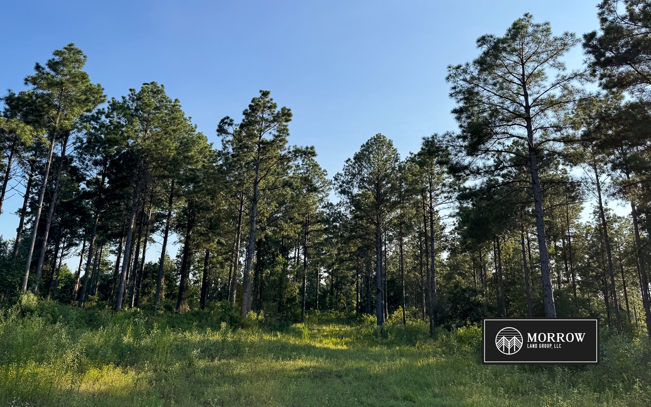Wardview Bluff Tract in Bossier Parish, LA