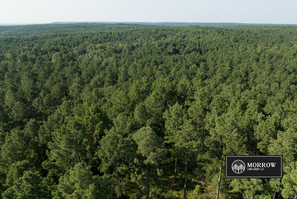 Wardview Bluff Tract in Bossier Parish, LA