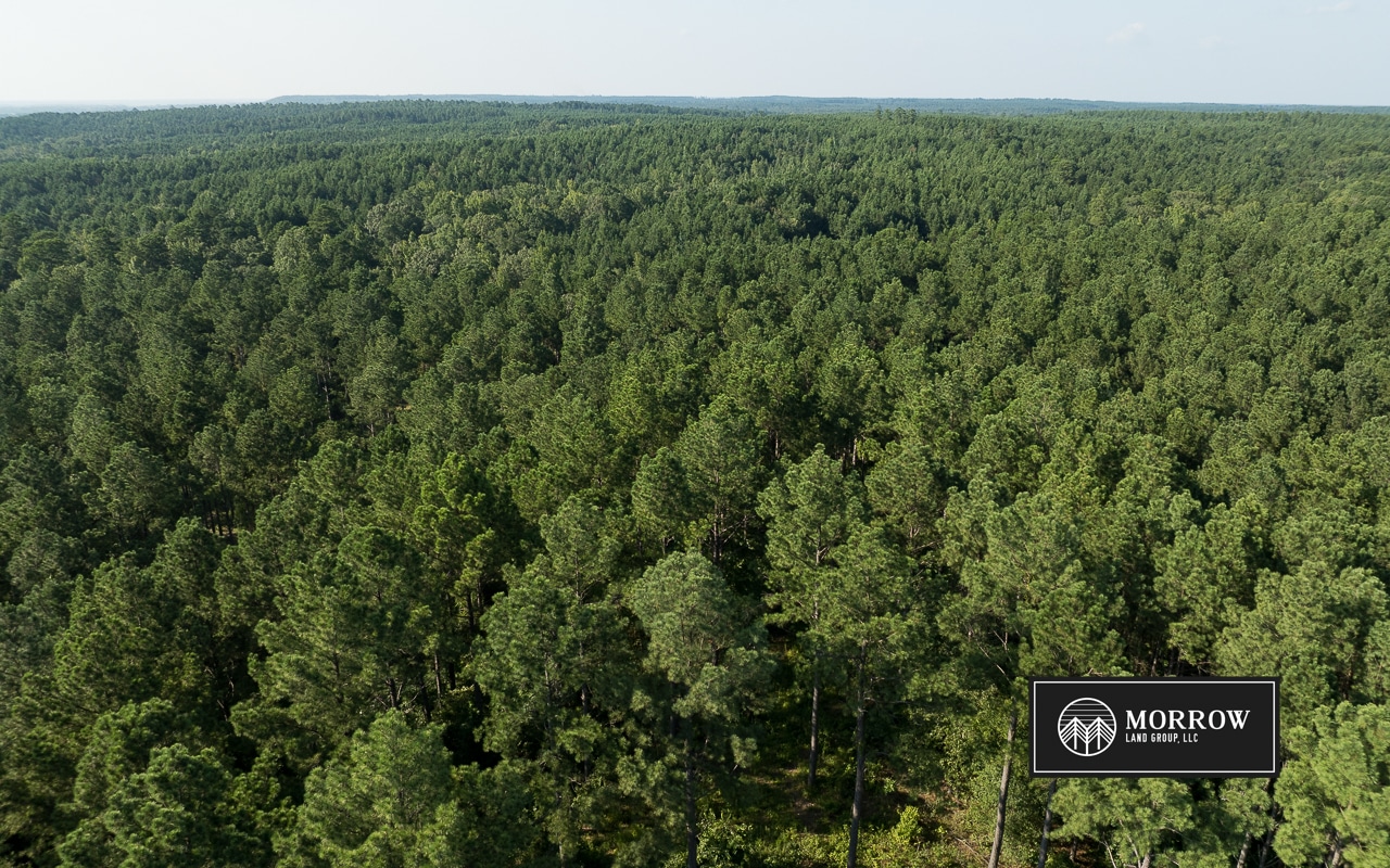 Wardview Bluff Tract in Bossier Parish, LA