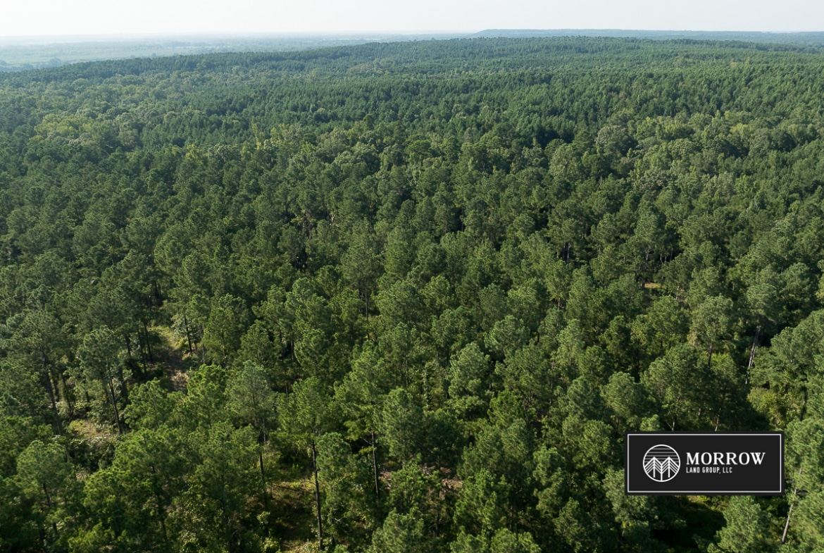 Wardview Bluff Tract in Bossier Parish, LA