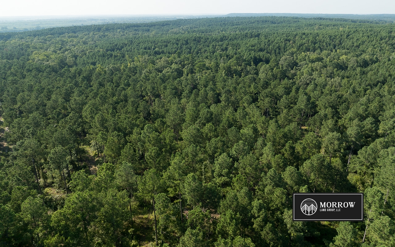 Wardview Bluff Tract in Bossier Parish, LA