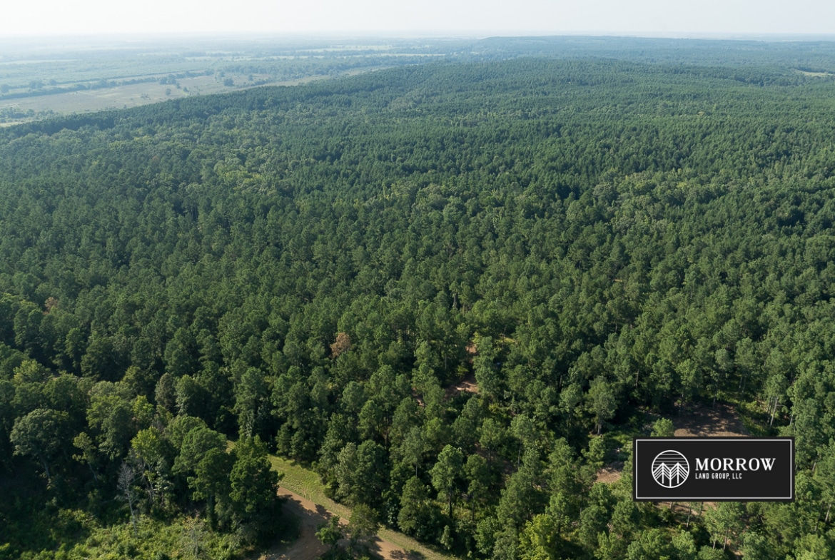 Wardview Bluff Tract in Bossier Parish, LA