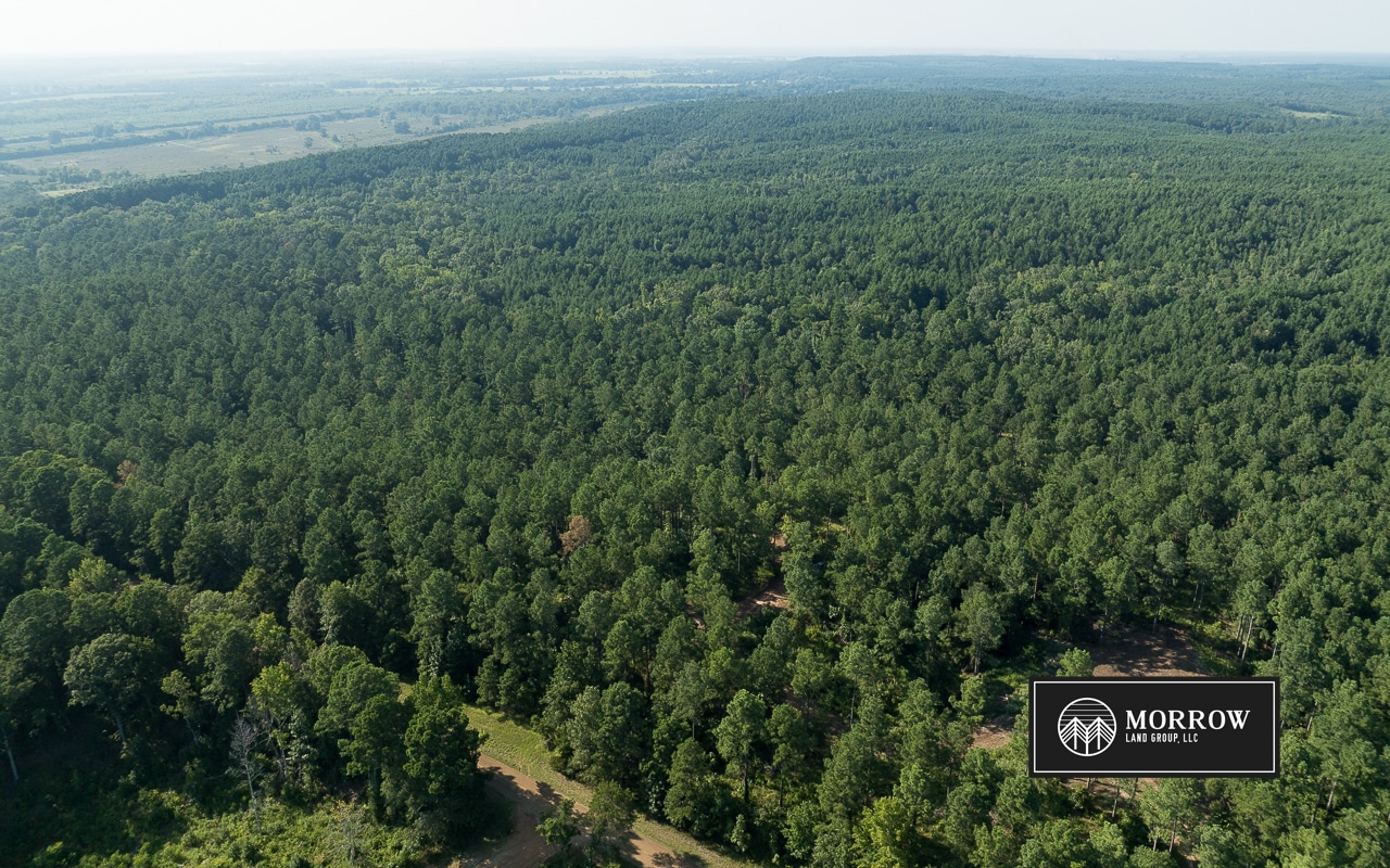 Wardview Bluff Tract in Bossier Parish, LA