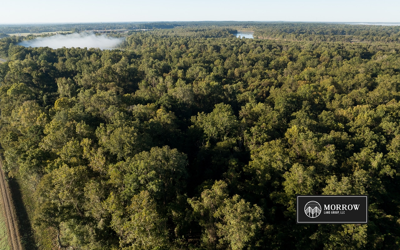 Campti Cutoff Tract in Natchitoches Parish, LA
