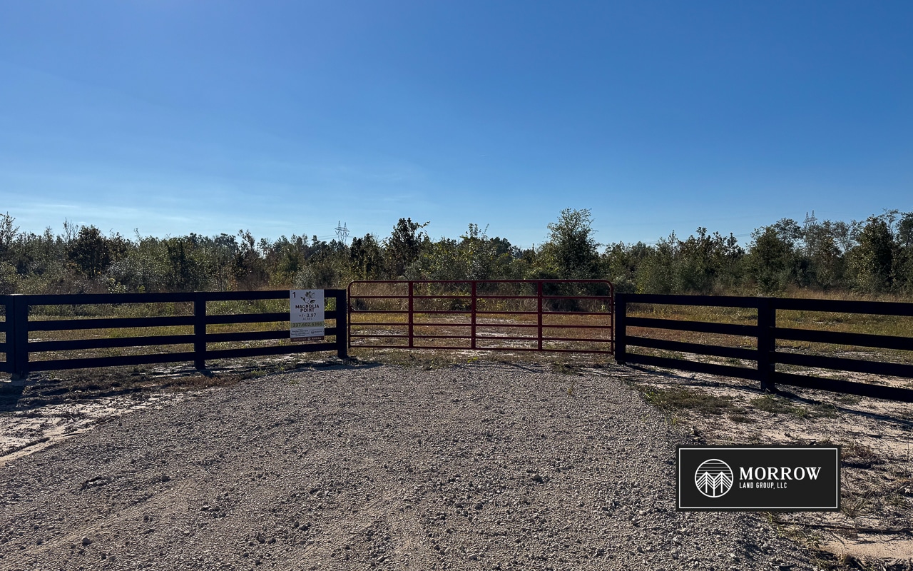 Lot #1 - Magnolia Point