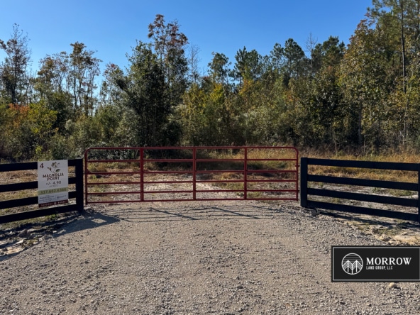 Lot #4 - Magnolia Point