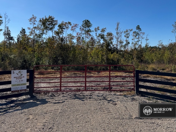 Lot #5 - Magnolia Point