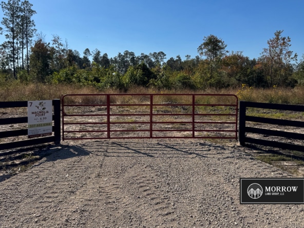Lot #7 - Magnolia Point