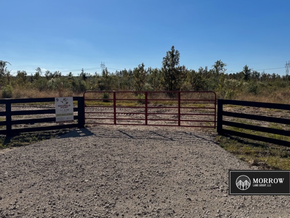 Lot #9 - Magnolia Point