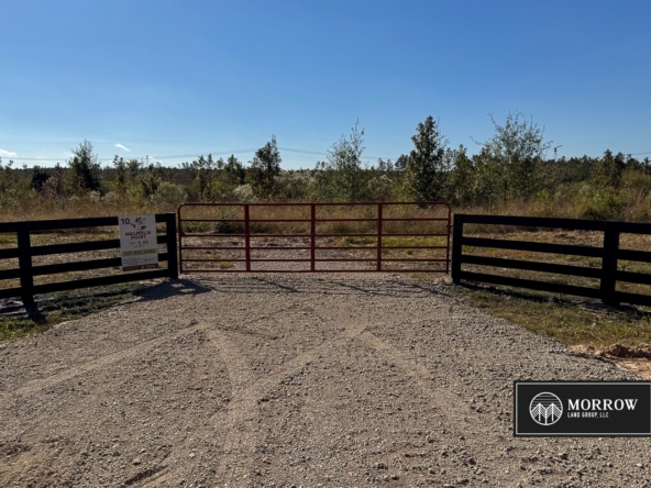 Lot #10 - Magnolia Point