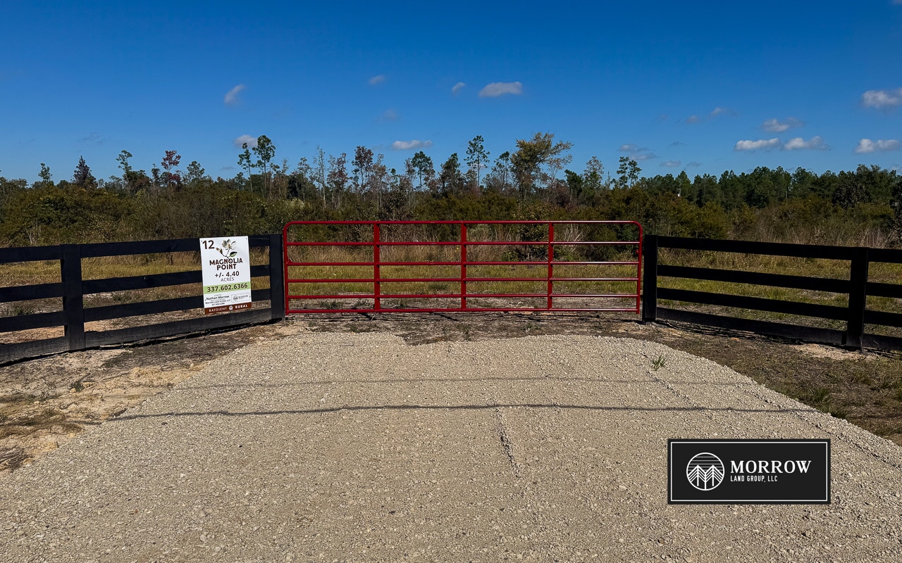 Lot #12 - Magnolia Point