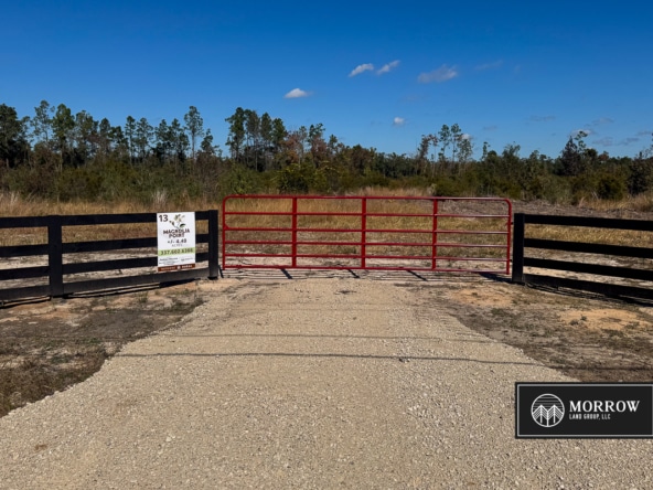 Lot #13 - Magnolia Point