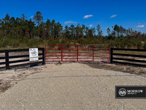 Lot #14 - Magnolia Point