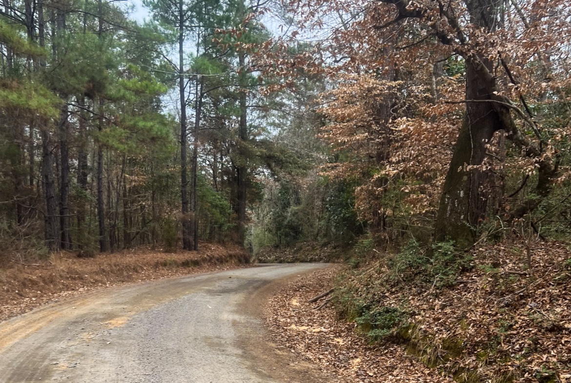 Land for sale in Jasper County, TX