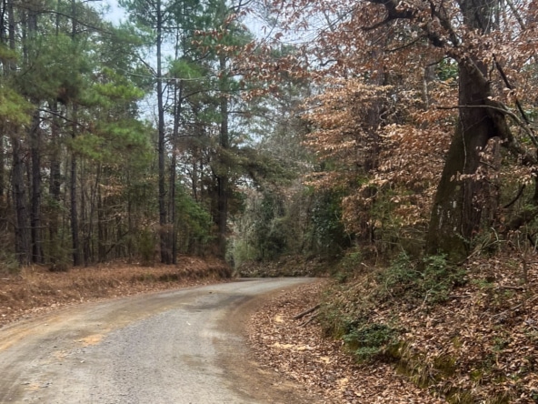 Land for sale in Jasper County, TX