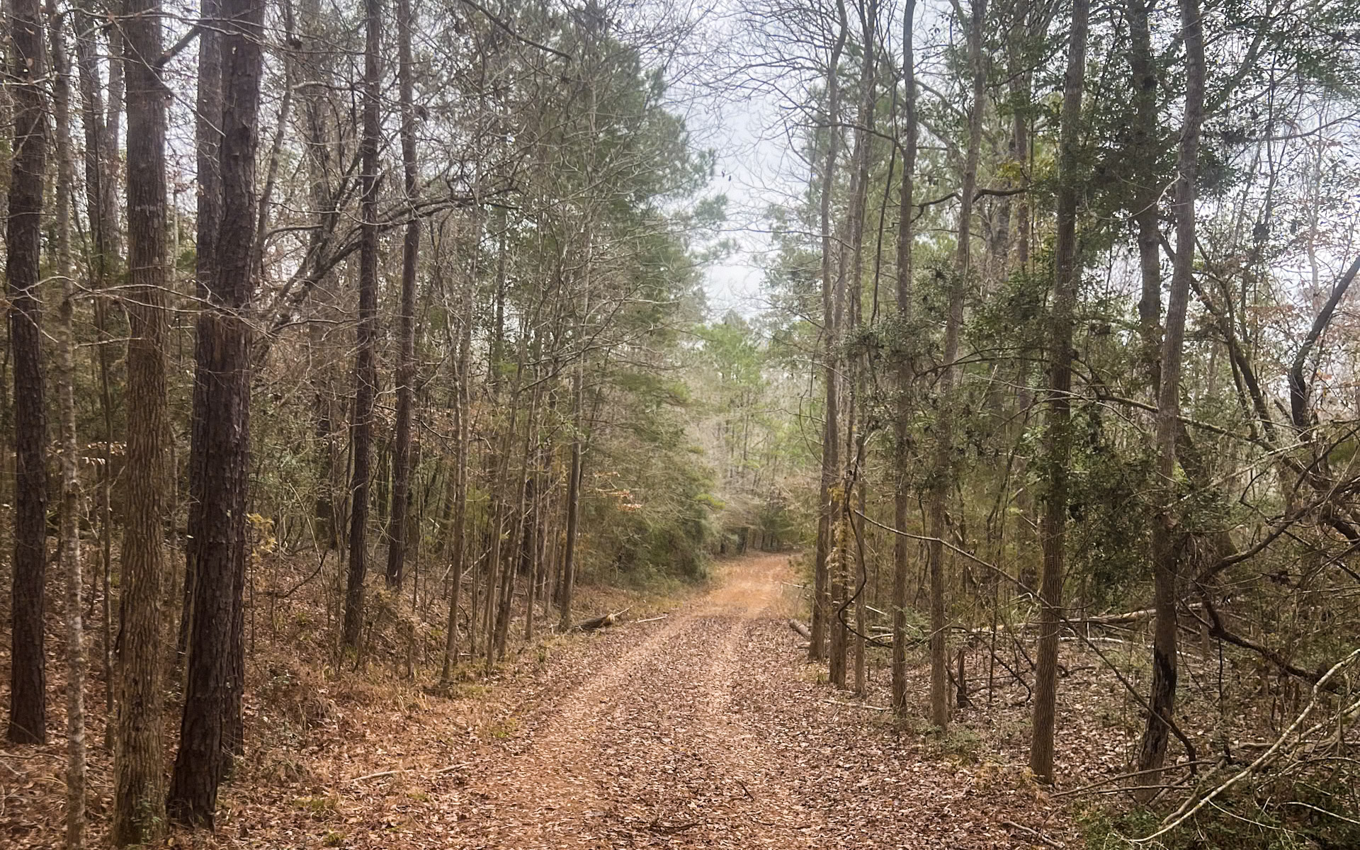 Land for sale in Jasper County, TX