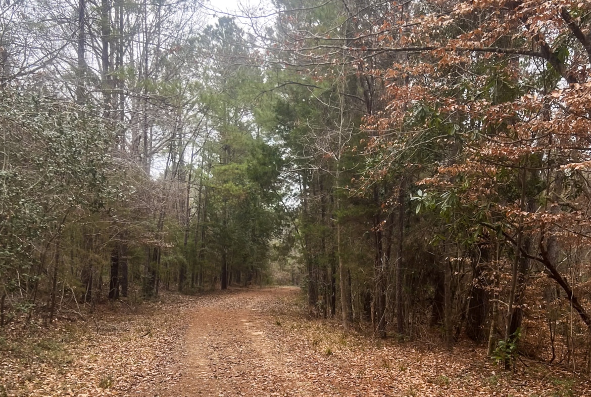 Land for sale in Jasper County, TX
