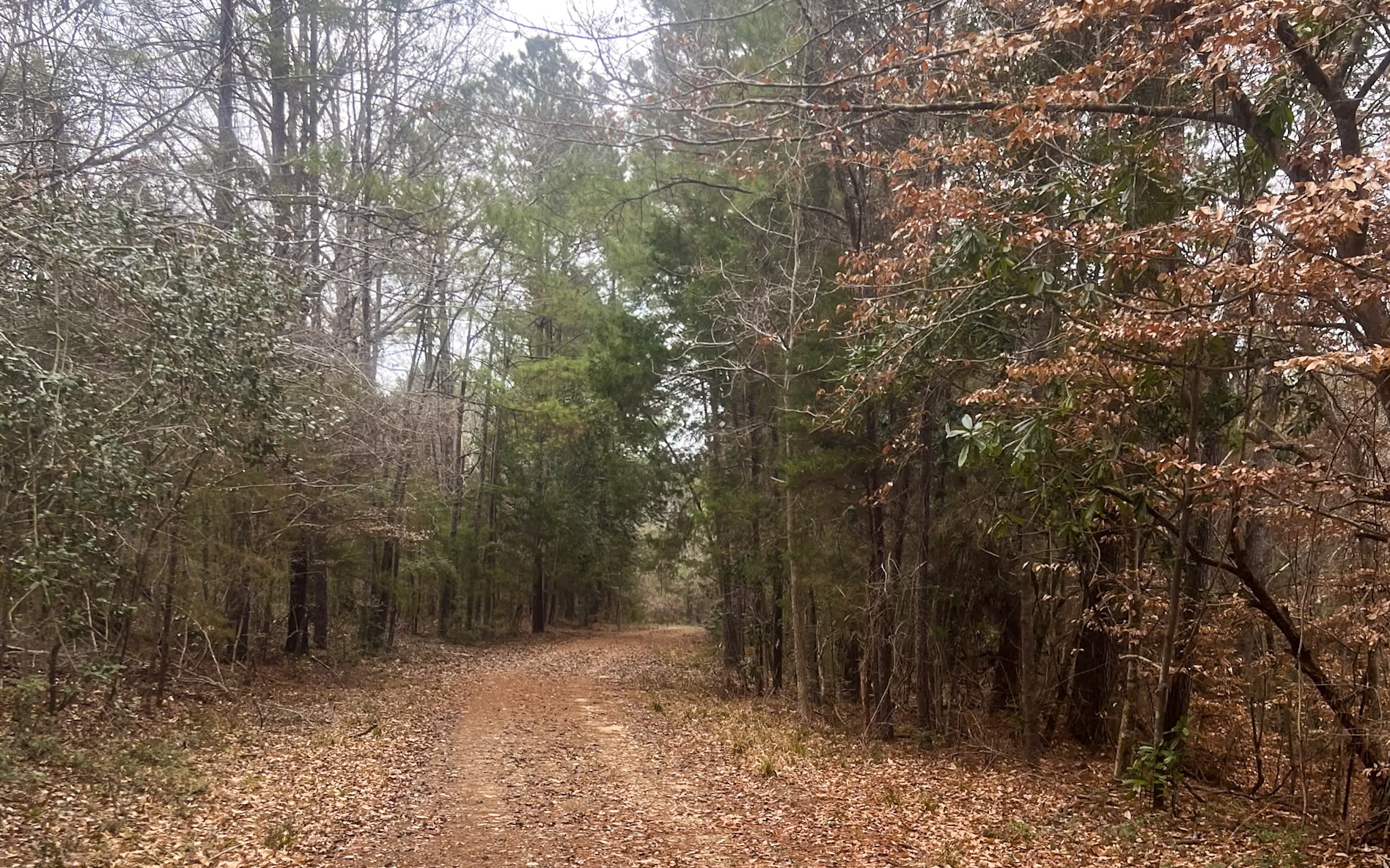 Land for sale in Jasper County, TX