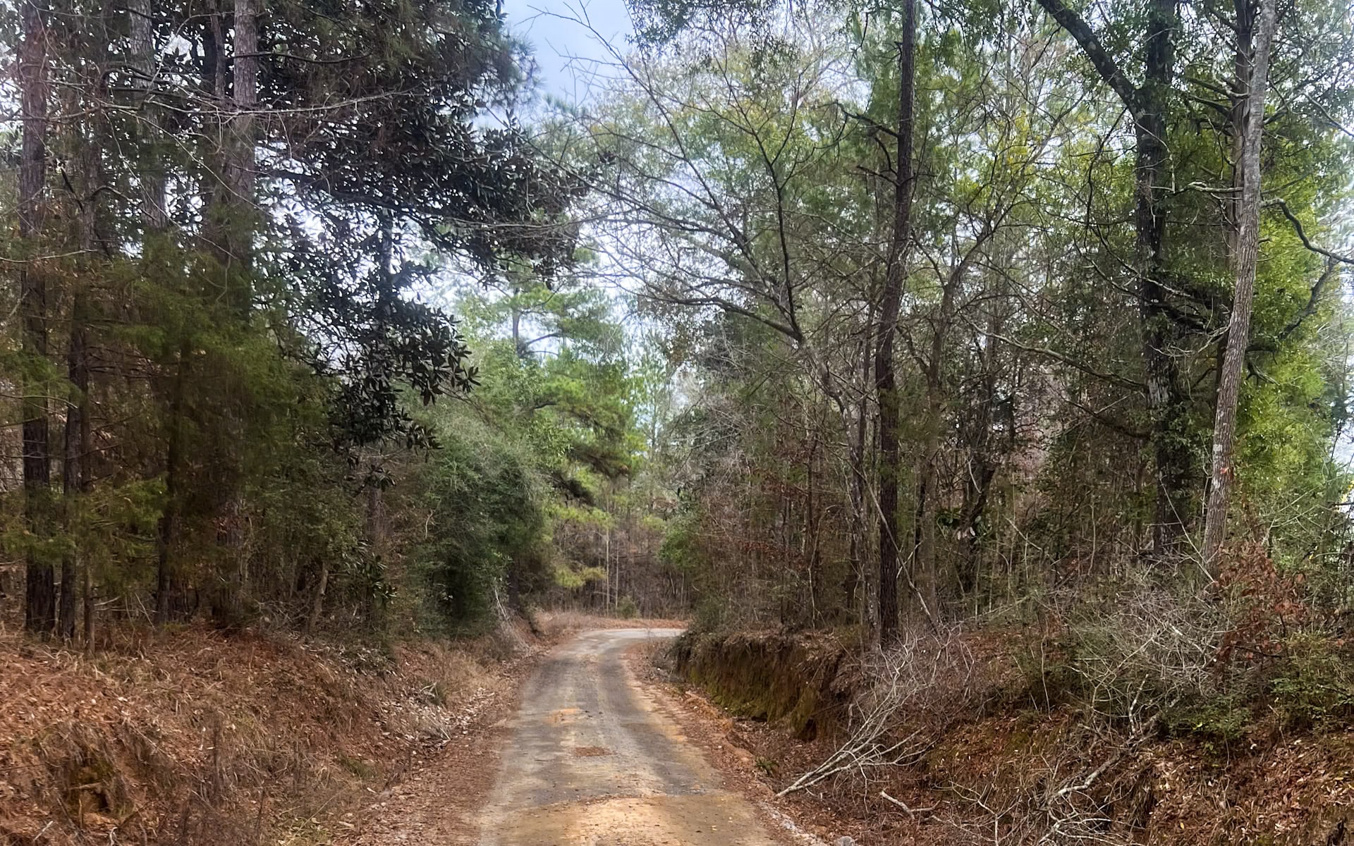 Land for sale in Jasper County, TX