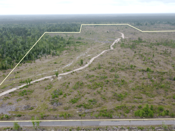 Old Seale Road - Beauregard Parish, LA