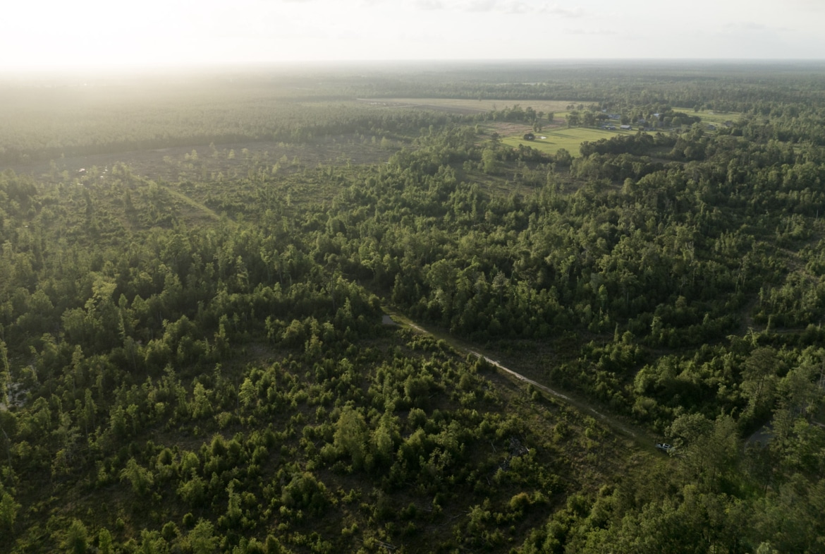 Dickerson Road Tract in Beauregard Parish, LA