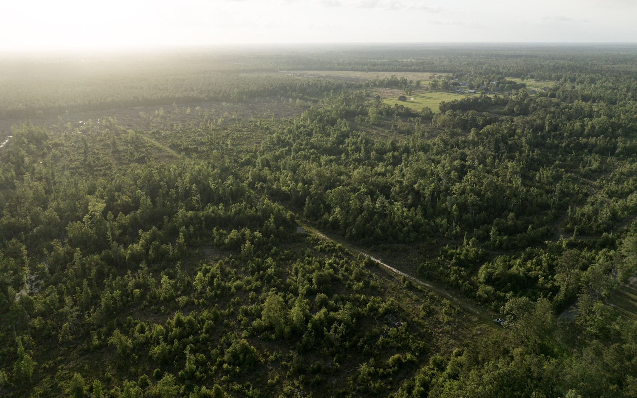 Dickerson Road Tract in Beauregard Parish, LA