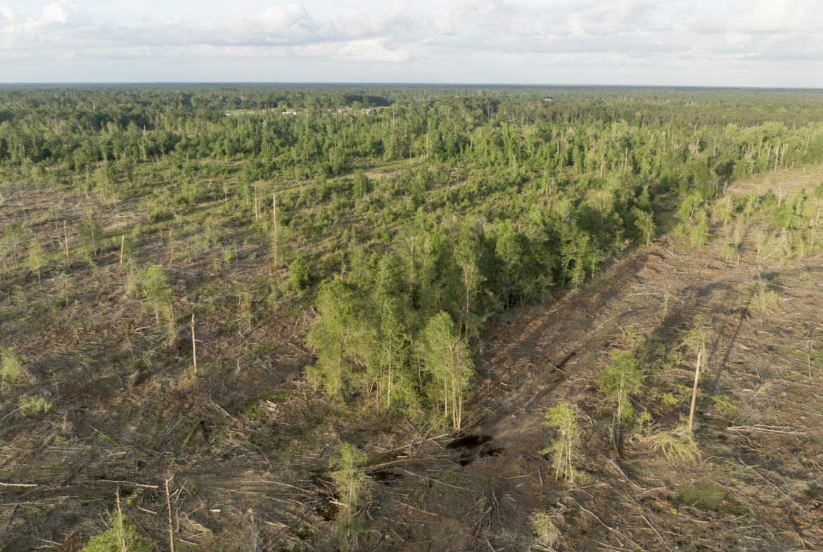 Dickerson Road Tract in Beauregard Parish, LA