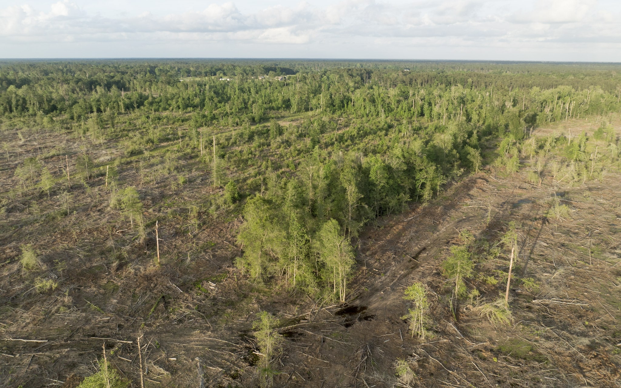 Dickerson Road Tract in Beauregard Parish, LA