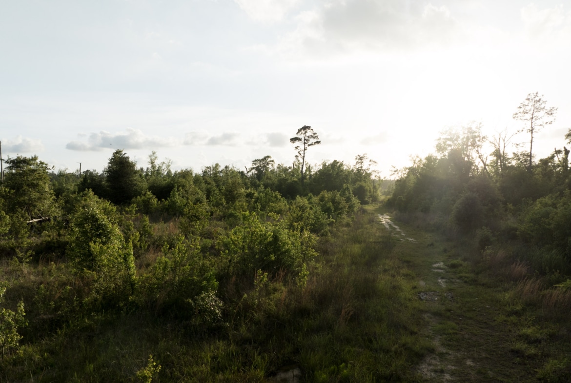 Dickerson Road Tract in Beauregard Parish, LA