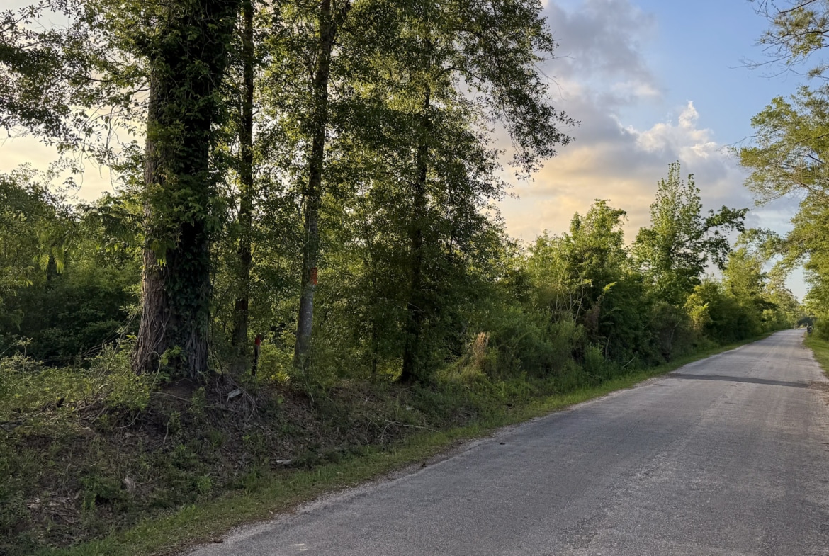 Dickerson Road Tract in Beauregard Parish, LA