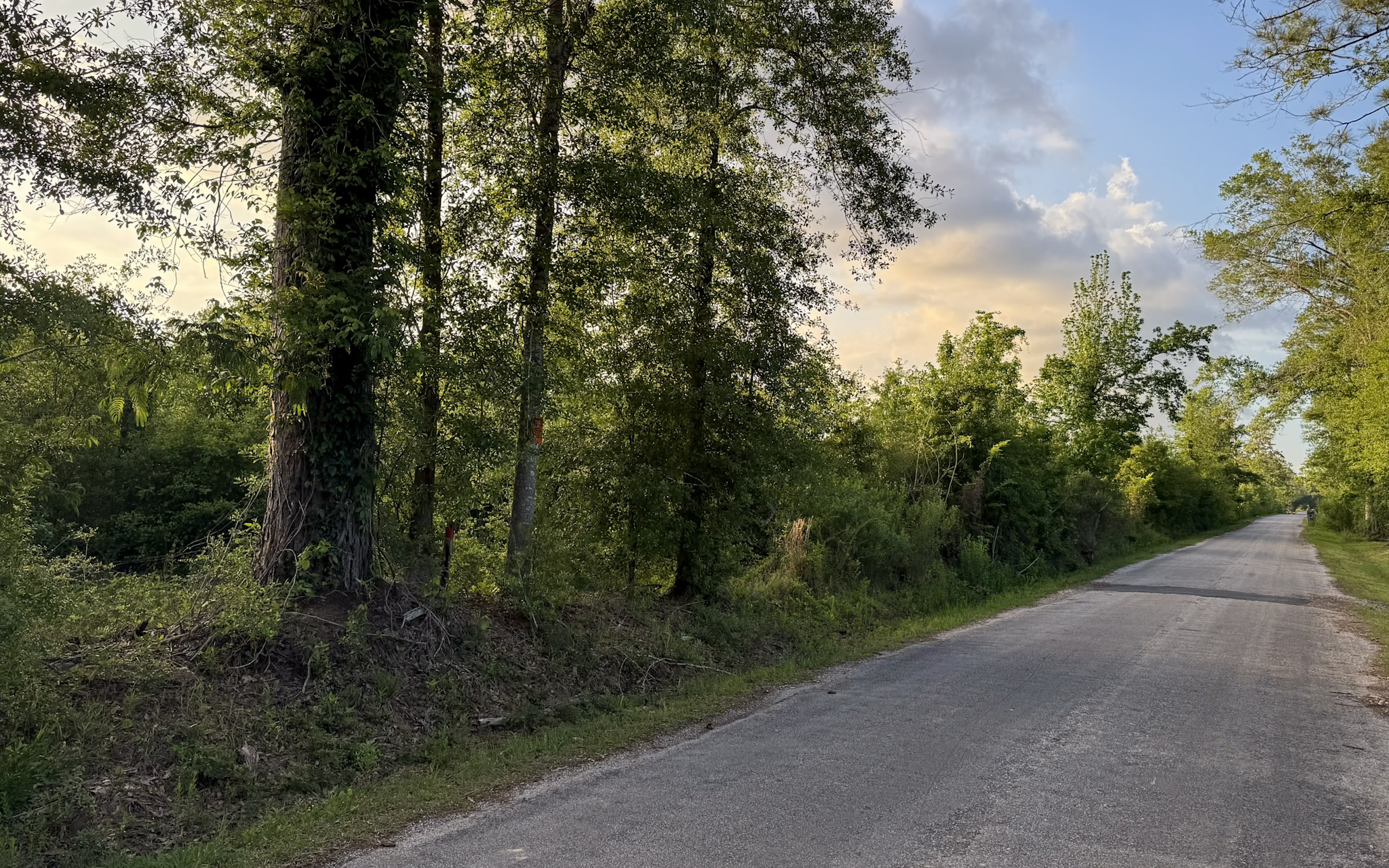 Dickerson Road Tract in Beauregard Parish, LA